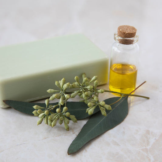 Unlocking the Hidden Power of Eucalyptus Oil Soap